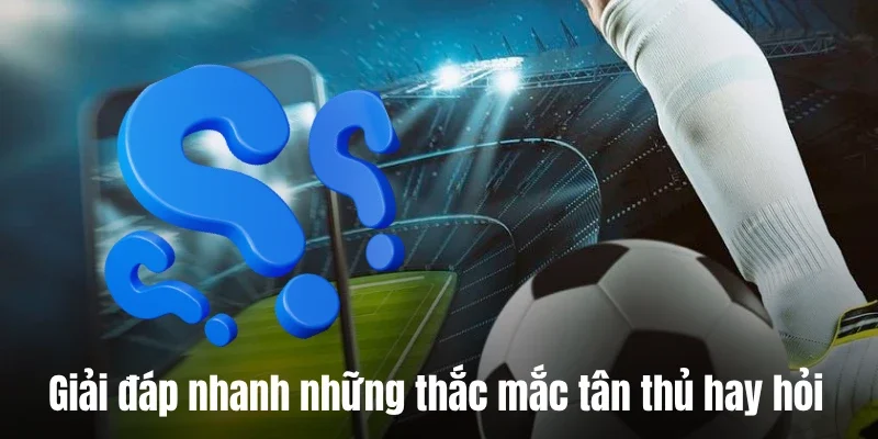 Giải đáp nhanh những thắc mắc tân thủ hay hỏi