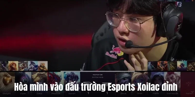 Hòa mình vào đấu trường Esports Xoilac đỉnh