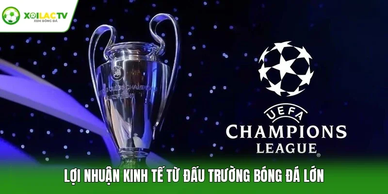 Lợi nhuận kinh tế từ đấu trường bóng đá lớn