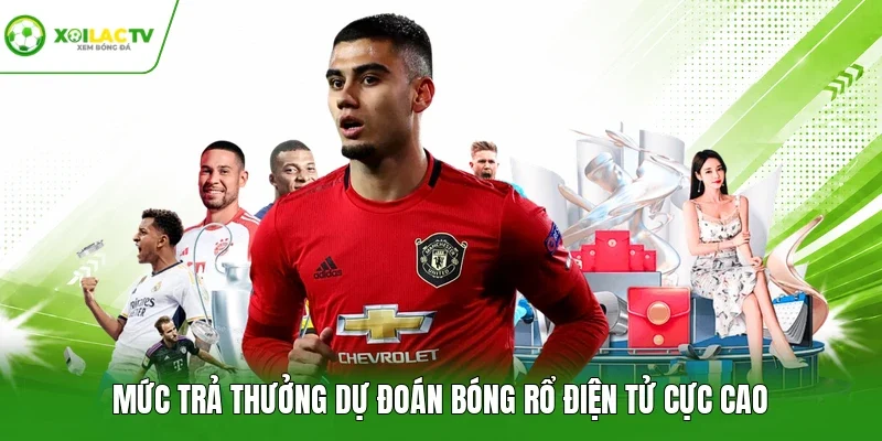 Mức trả thưởng dự đoán bóng rổ điện tử cực cao