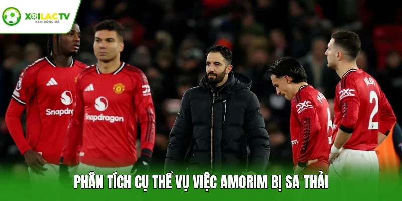 Phân tích cụ thể vụ việc Amorim bị sa thải